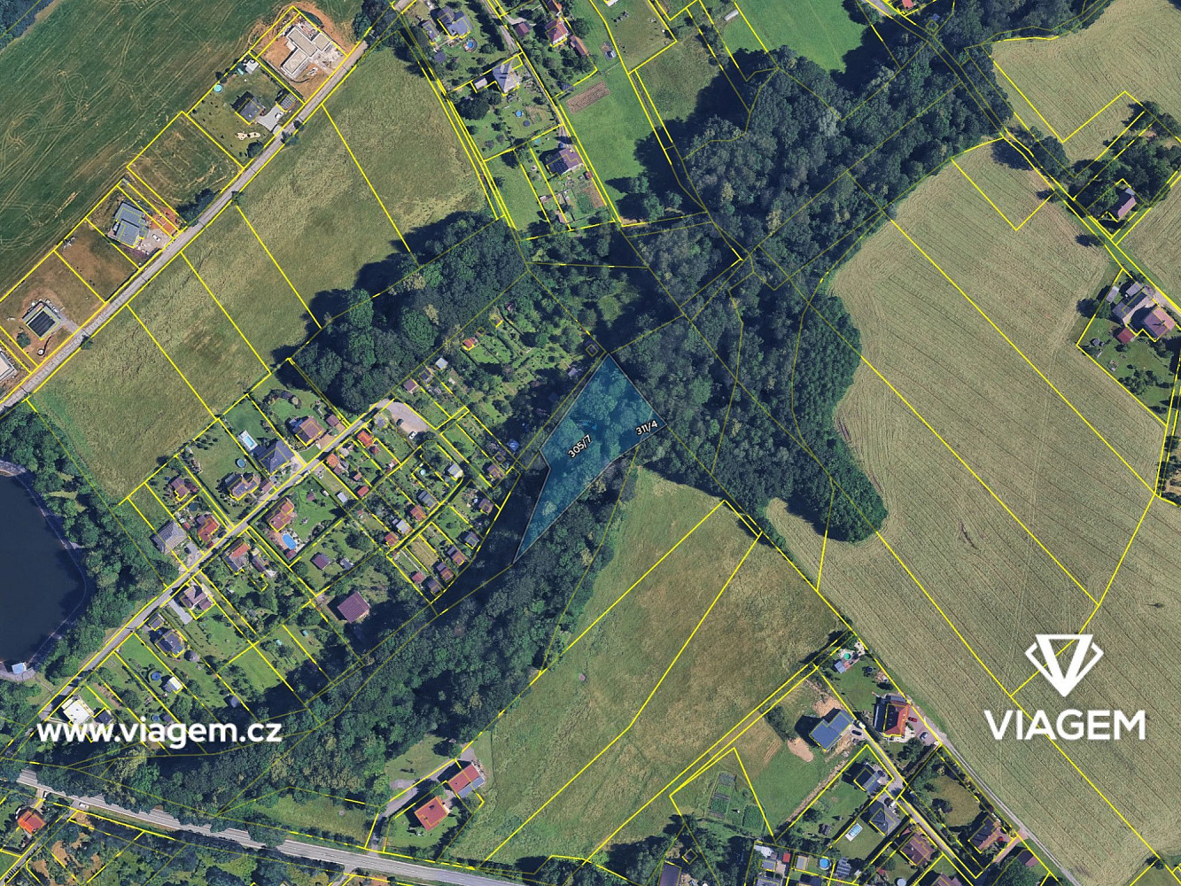 Prodej lesa 1 585 m² – fotografie 4