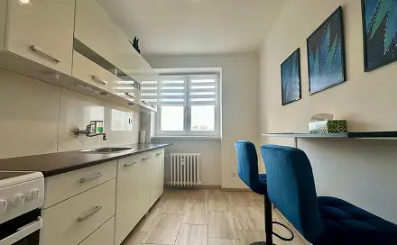 Pronájem bytu 2+1 52 m², Palackého, Cheb