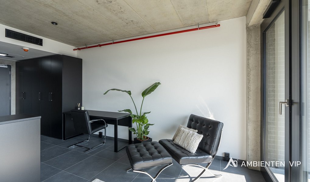Pronájem bytu 1+kk 35 m², Brno – náhled fotky 11