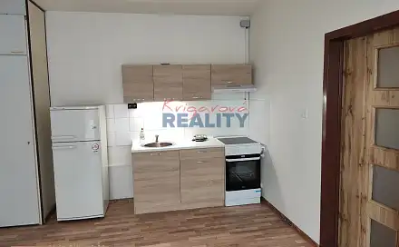 Pronájem bytu 1+1 43 m²