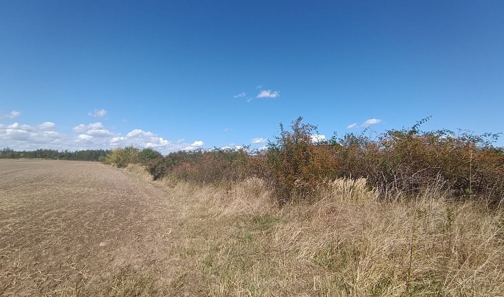 Prodej stavebního pozemku 1 152 m², Úvaly – náhled fotky 2