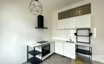 Pronájem bytu 1+1 50 m², 9. května, Tábor