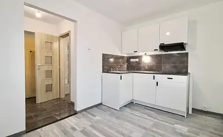 Prodej bytu 1+1 30 m²