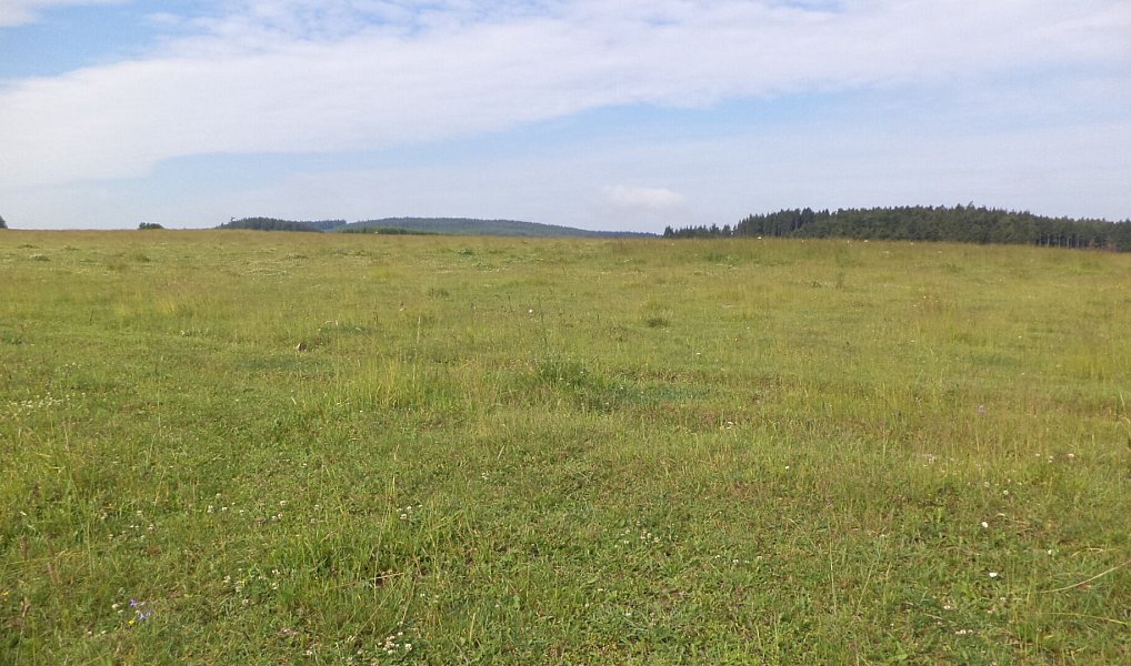 Prodej pozemku 4 031 m², Horní Štěpánov – náhled fotky 2