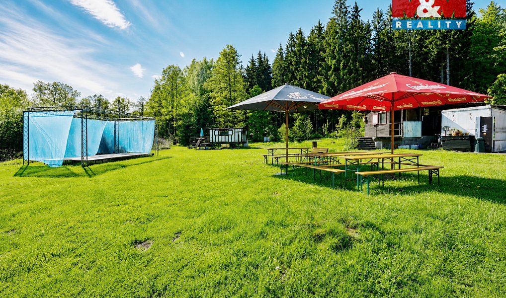 Prodej komerčního pozemku 21 872 m², Krucemburk – náhled fotky 9