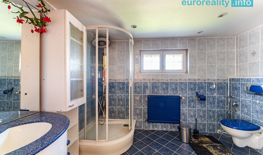 Pronájem domu 210 m² s pozemkem 1 068 m², Aš – náhled fotky 17