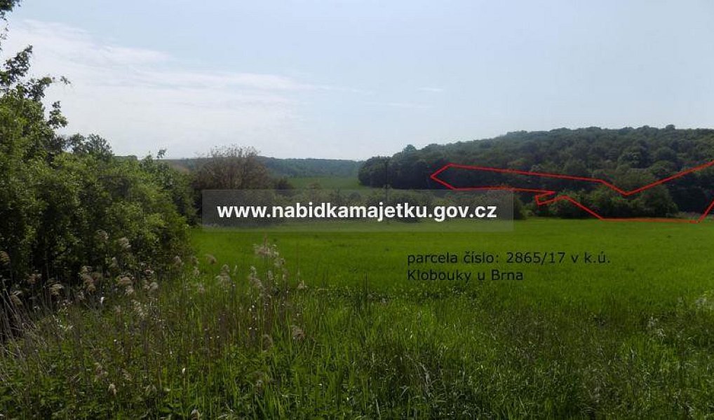 Prodej pozemku 2 449 m², Diváky – náhled fotky 4