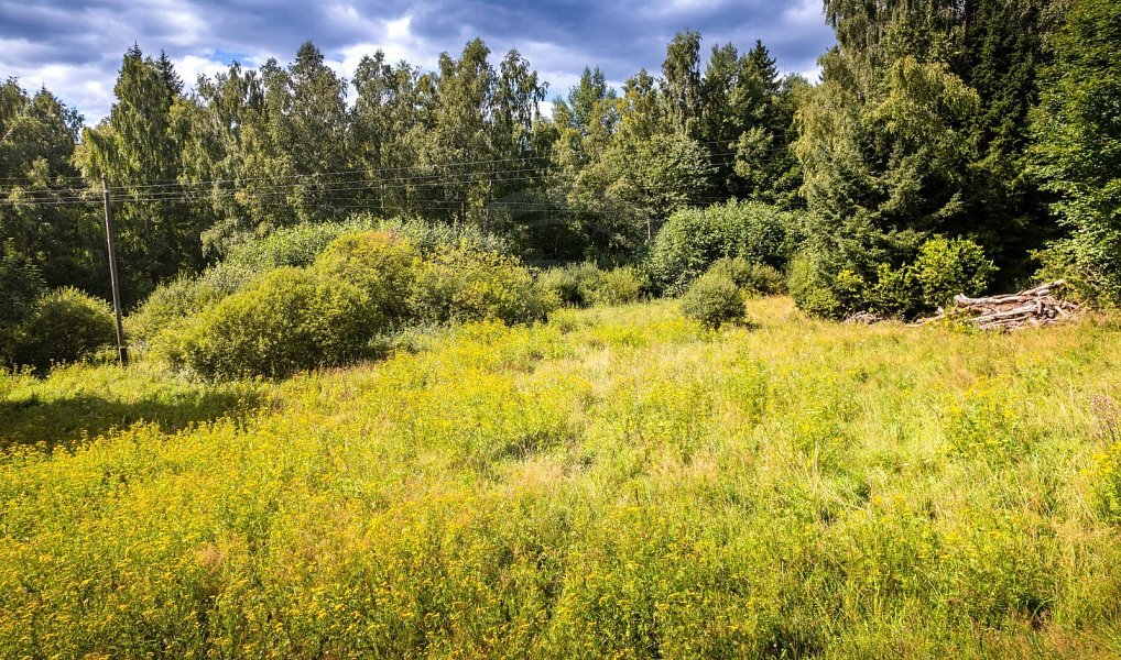 Prodej stavebního pozemku 1 122 m², Přední Výtoň – náhled fotky 9
