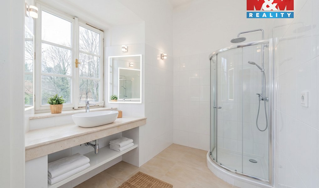 Prodej domu 963 m² s pozemkem 4 672 m², Dírná – náhled fotky 4