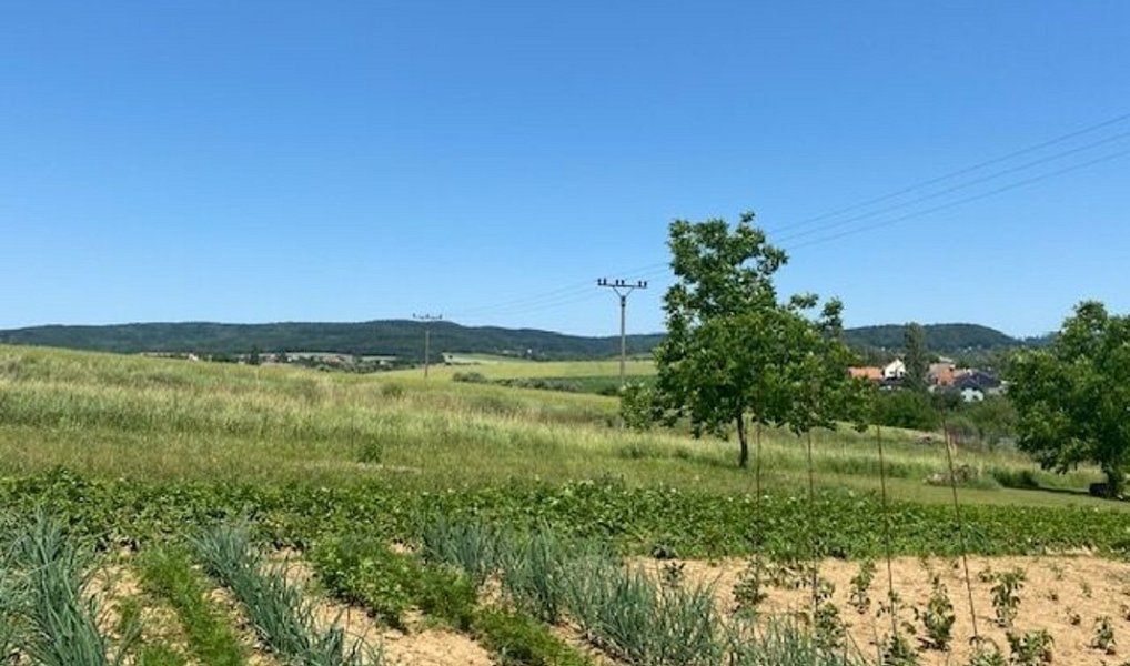 Prodej vinného sklepa v Moravanech u Kyjova, 60 m2, Moravany – náhled fotky 20