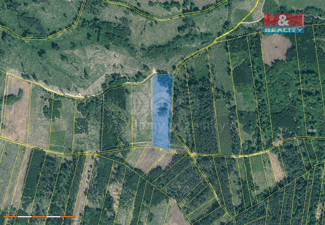Prodej lesa 31 810 m²