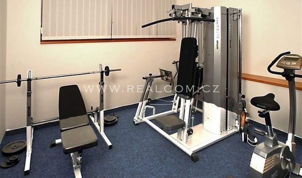 Pronájem výrobních prostor 8 m², Praha – náhled fotky 7