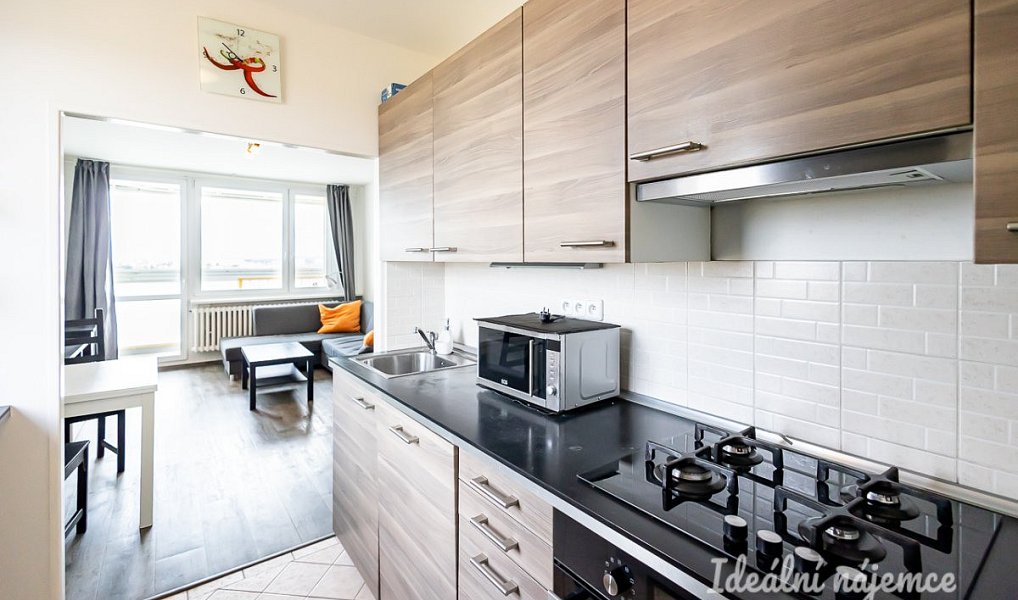 Pronájem bytu 3+kk 63 m², Praha – náhled fotky 3