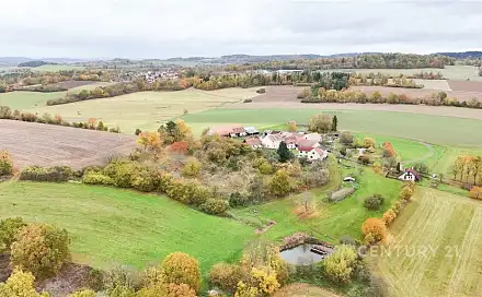 Prodej stavebního pozemku 7 536 m², Zhoř - Blehov, okres Písek