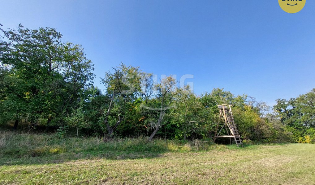 Prodej domu 260 m² s pozemkem 6 448 m², Dolní Těšice – náhled fotky 16