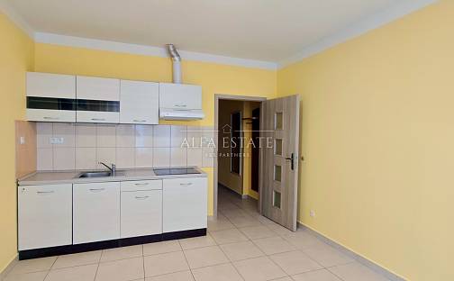 Pronájem bytu 2+kk 48 m², Sokolovská, Karlovy Vary - Rybáře