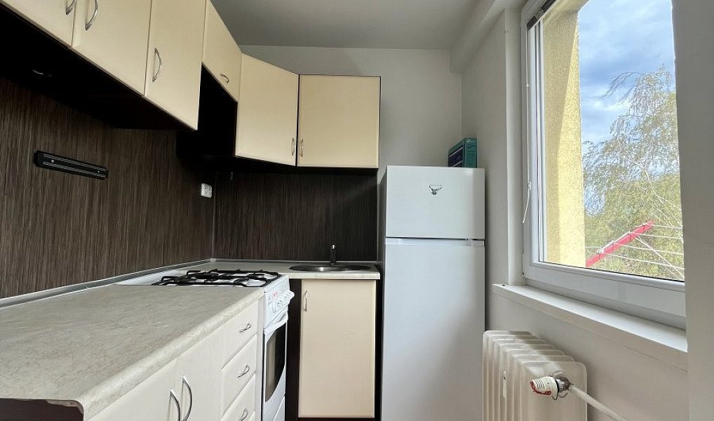Pronájem bytu 1+1 30 m², Ostrava – náhled fotky 2