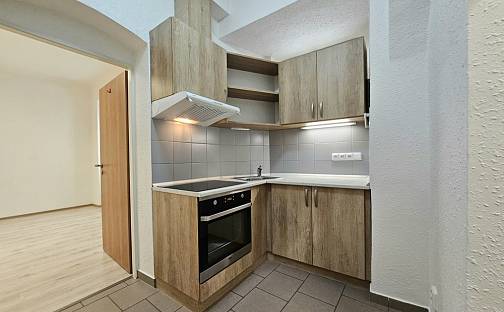 Pronájem bytu 2+1 52 m², Cejl, Brno