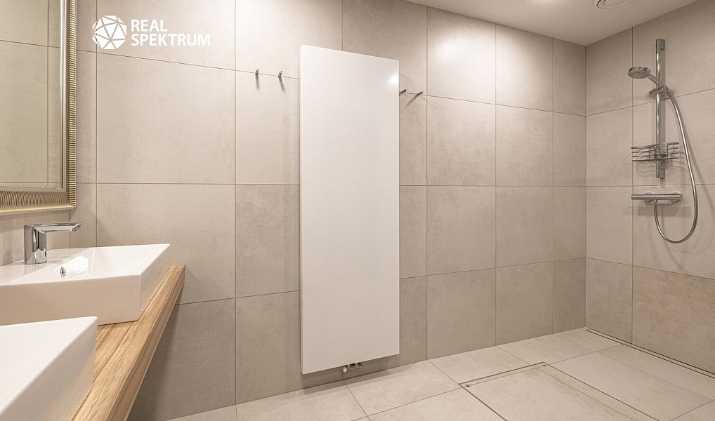 Pronájem kanceláře 310 m², Brno – náhled fotky 15