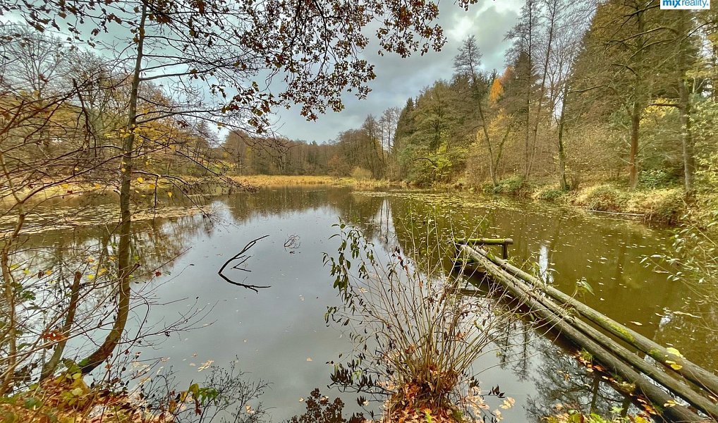 Prodej vodní plochy 14 487 m², Čmelíny – náhled fotky 2
