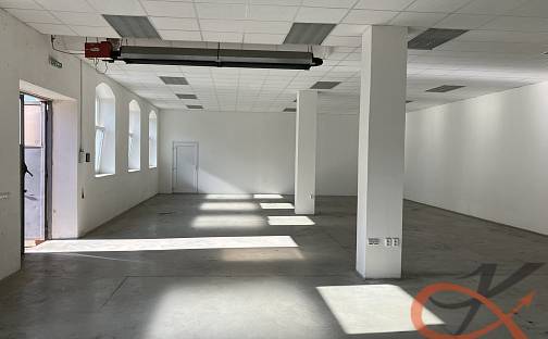 Pronájem skladovacích prostor 190 m², Vrahovická, Prostějov