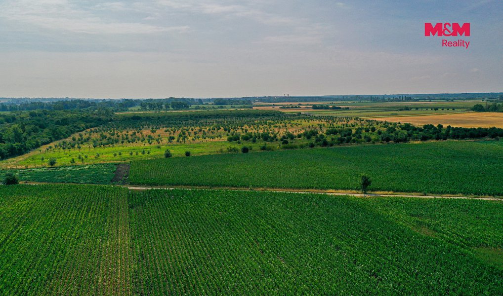 Prodej pole 123 477 m², Rakvice – náhled fotky 6
