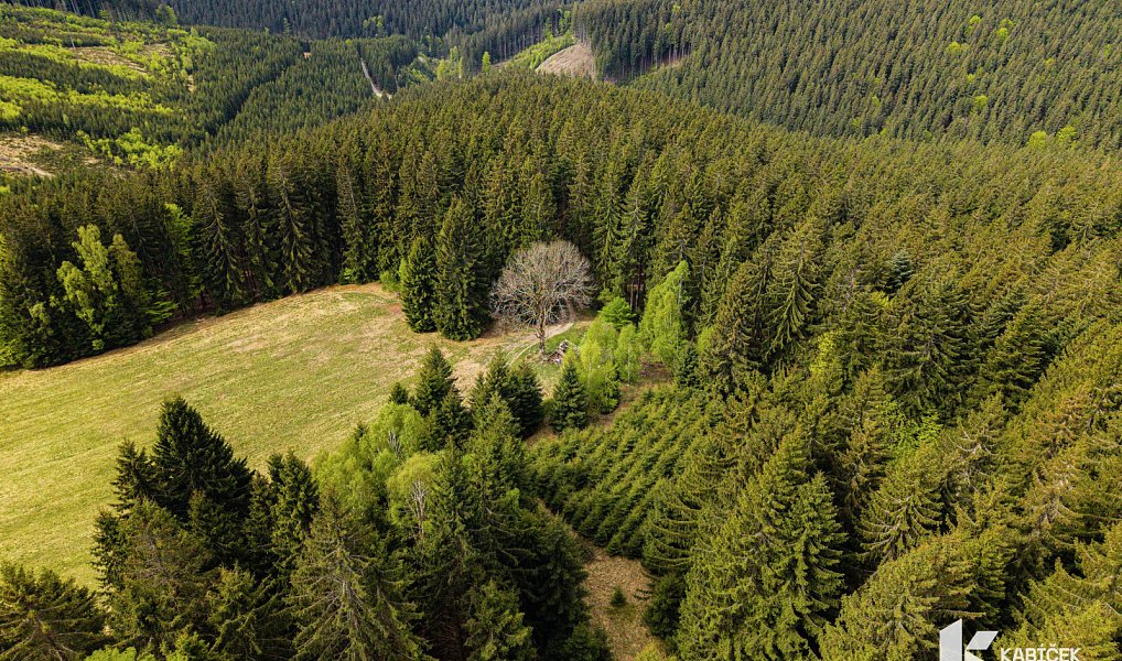Prodej chaty/chalupy 94 m² s pozemkem 934 m², Velké Karlovice – náhled fotky 18