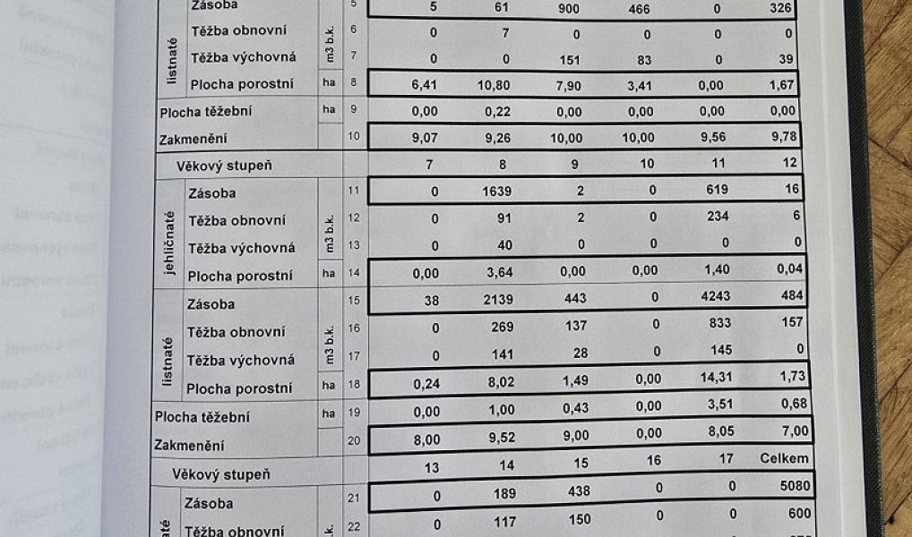 Prodej lesa 845 297 m², Kněždub – náhled fotky 18