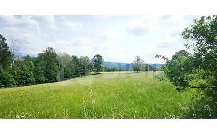 Prodej stavebního pozemku 6 862 m², Semily - Spálov