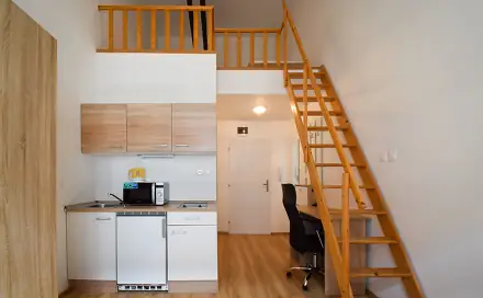 Pronájem bytu 1+kk 24 m², Hybešova, Brno - Staré Brno