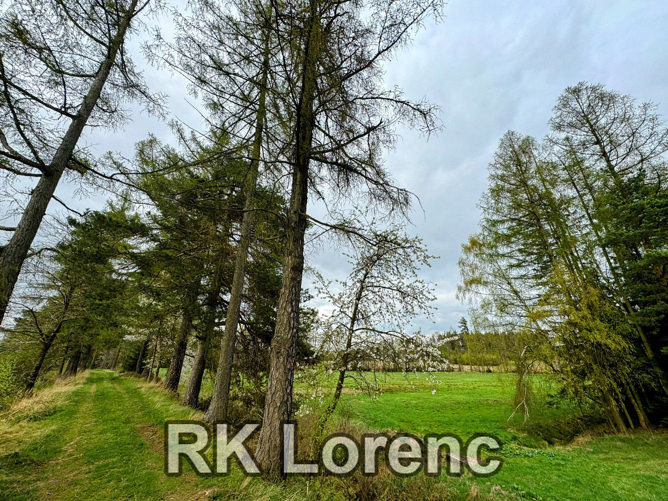 Fotka 6 z 7