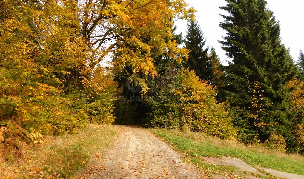 Prodej louky 1 588 m², Lučany nad Nisou – náhled fotky 4
