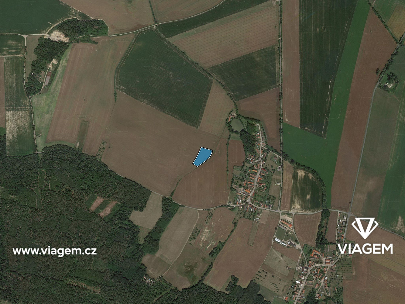 Prodej pole 3 981 m² – fotografie 3