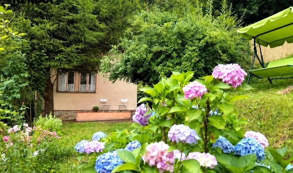 Prodej chaty/chalupy 28 m² s pozemkem 1 152 m², Ústí nad Labem – náhled fotky 5