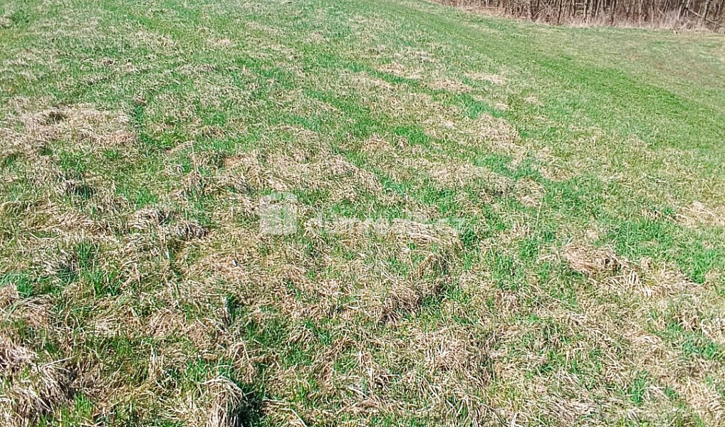 Prodej stavebního pozemku 1 246 m², Heřmanov – náhled fotky 7
