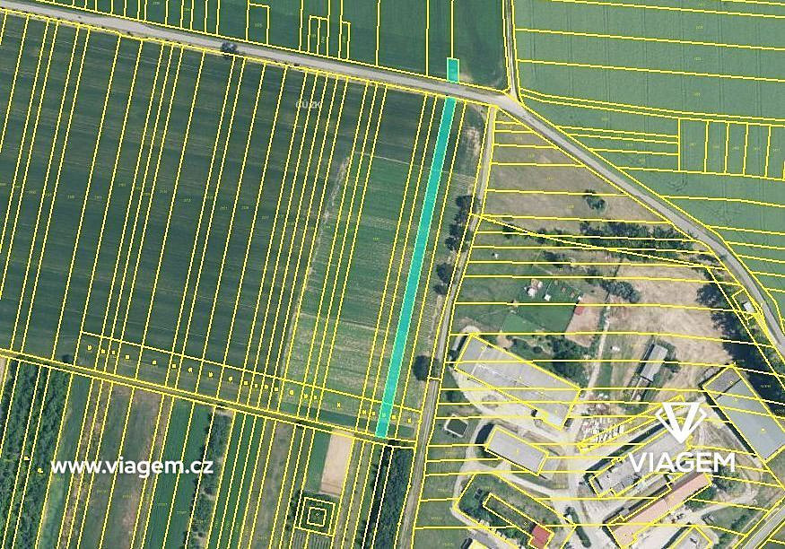 Prodej pole 663 m² – fotografie 3