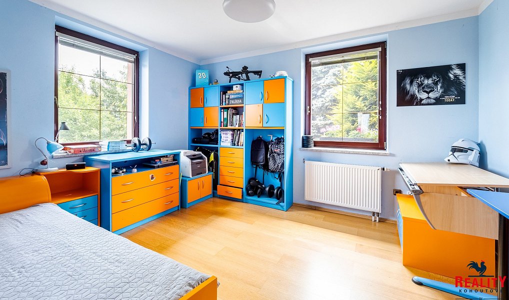 Prodej domu 313 m² s pozemkem 1 106 m², Tábor – náhled fotky 14
