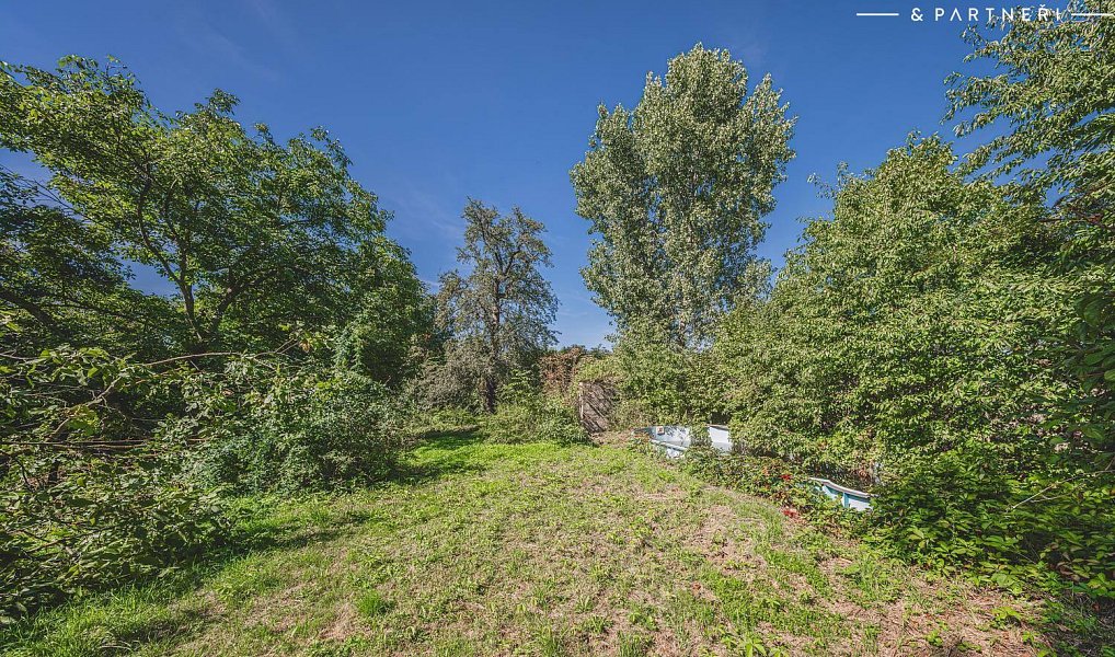 Prodej domu 300 m² s pozemkem 5 559 m², Hořice – náhled fotky 25