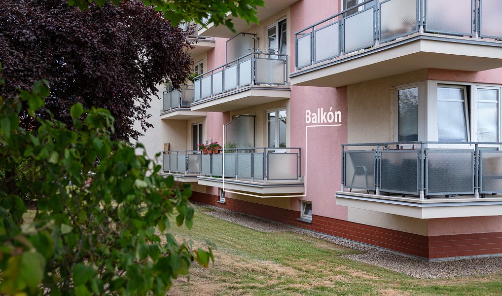 Pronájem bytu 1+kk 36 m², Roztoky – náhled fotky 7