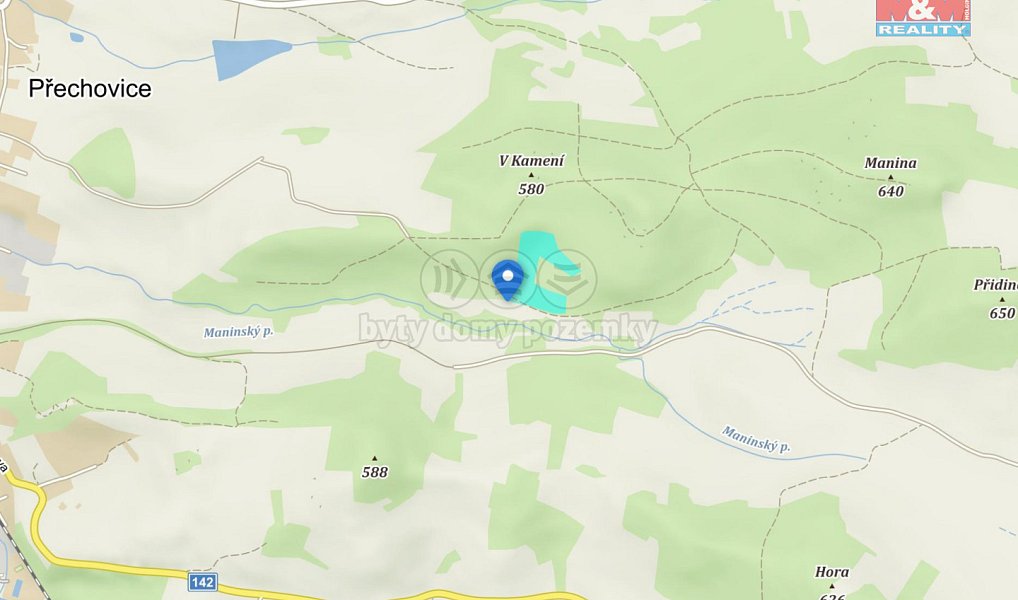 Prodej lesa 26 262 m², Přechovice – náhled fotky 4