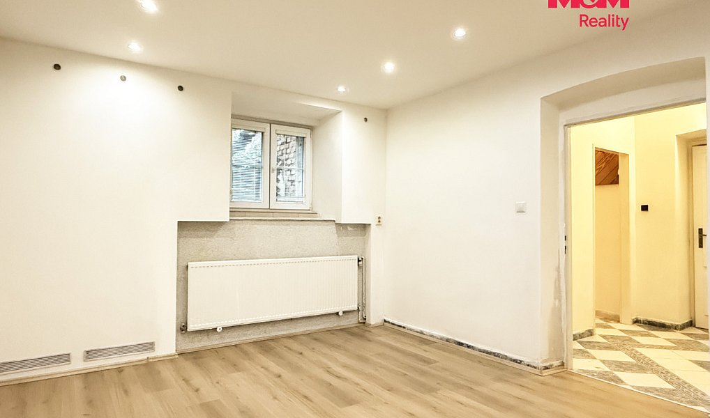 Pronájem bytu 1+1 33 m², Plzeň – náhled fotky 2