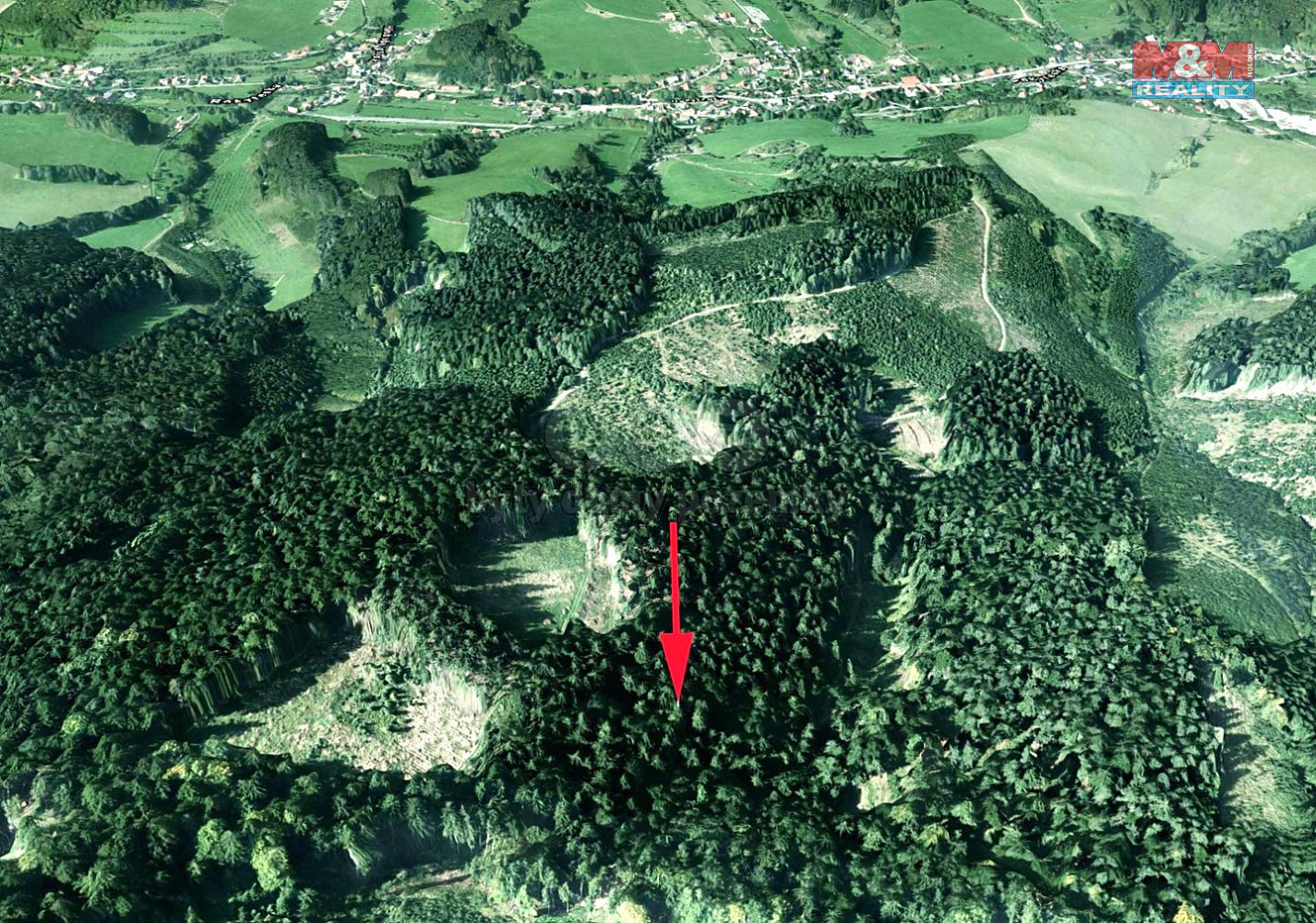 Prodej lesa 16 820 m²