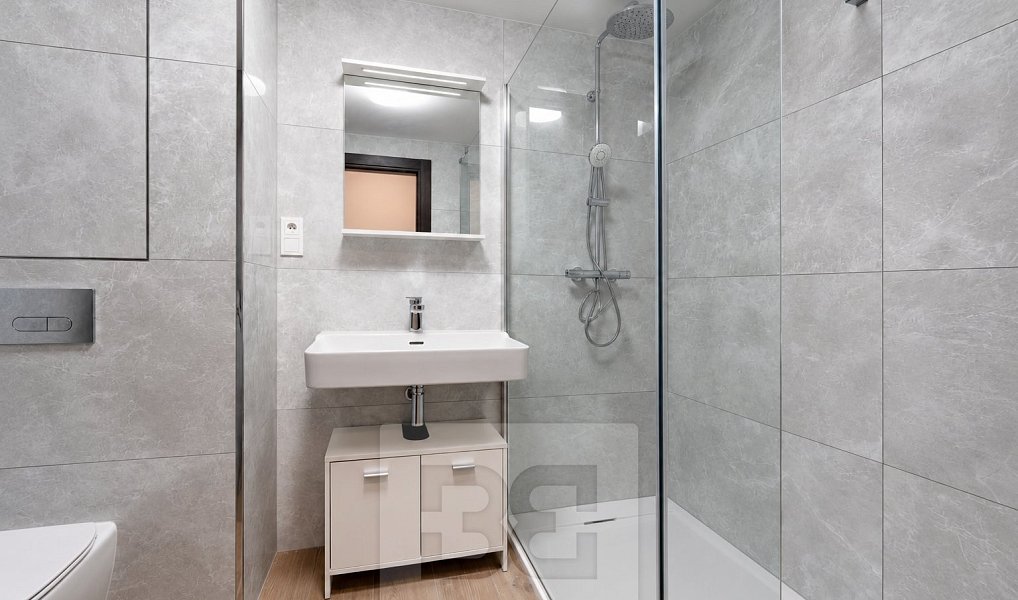 Pronájem bytu 2+kk 55 m², České Budějovice – náhled fotky 10