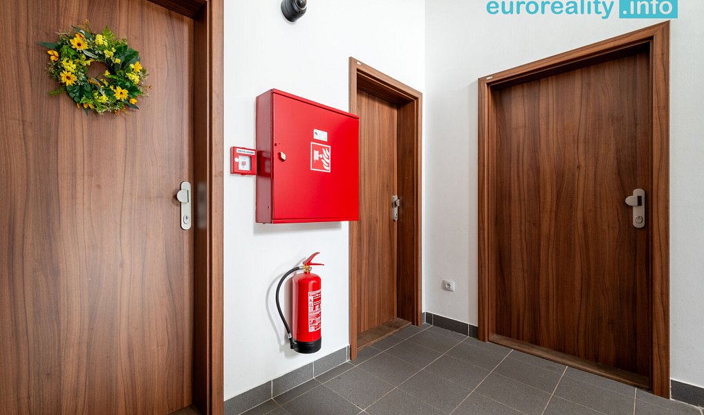 Pronájem bytu 3+kk 58 m², Luby – náhled fotky 11