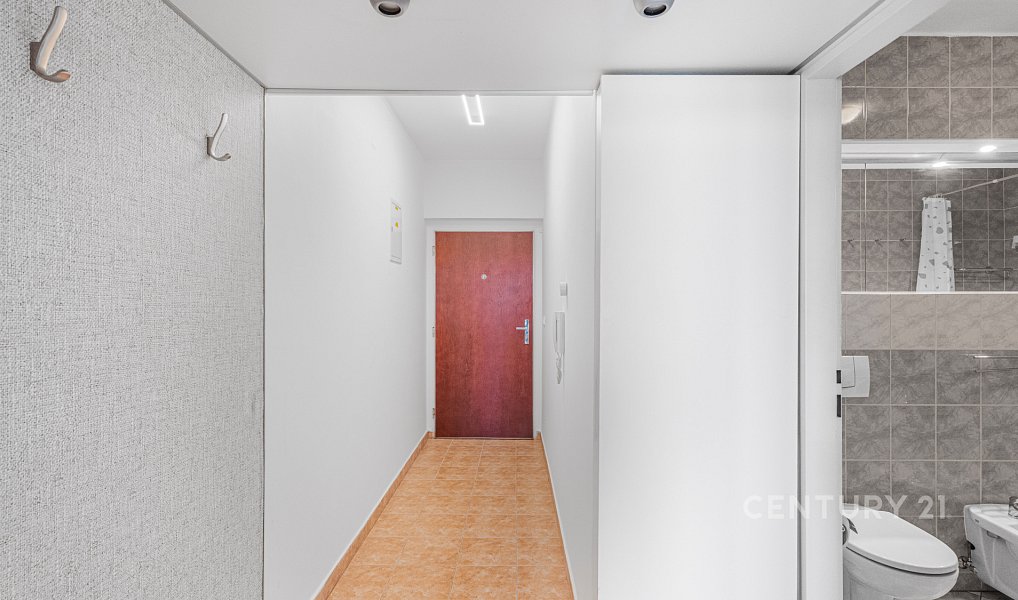 Pronájem bytu 2+kk 54 m², Praha – náhled fotky 9