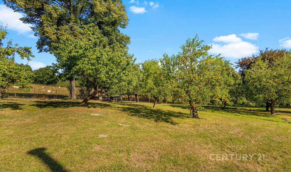 Prodej domu 190 m² s pozemkem 3 520 m², Javorník – náhled fotky 29