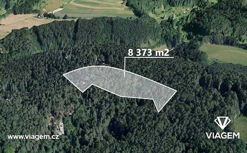 Prodej lesa 2 093 m², Mírová pod Kozákovem, okres Semily