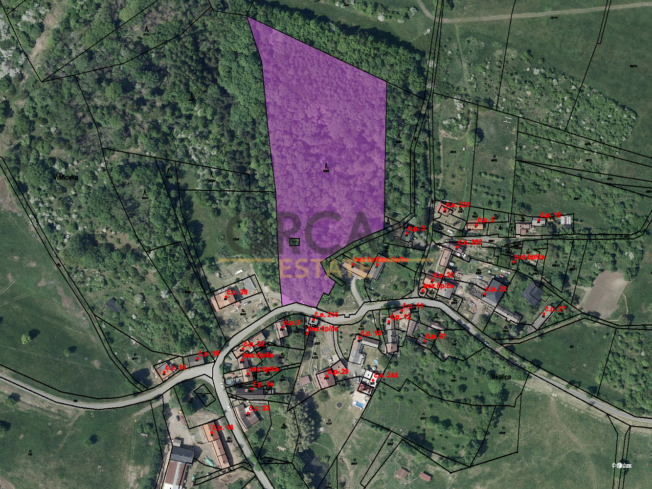 Prodej lesa 15 940 m², Třebívlice