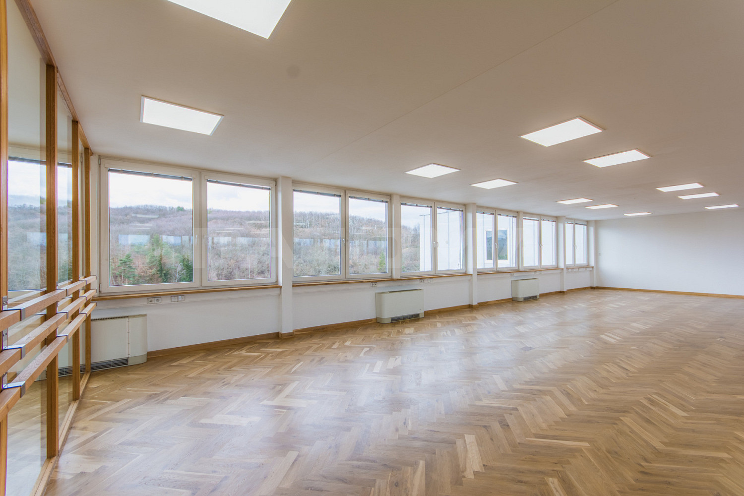 Pronájem kanceláře 257 m² – fotografie 4