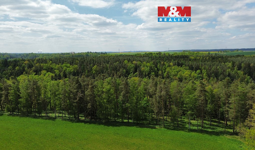 Prodej lesa 79 857 m², Černýšovice – fotka 1 z 8